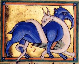 elefante St John College Oxford- Library